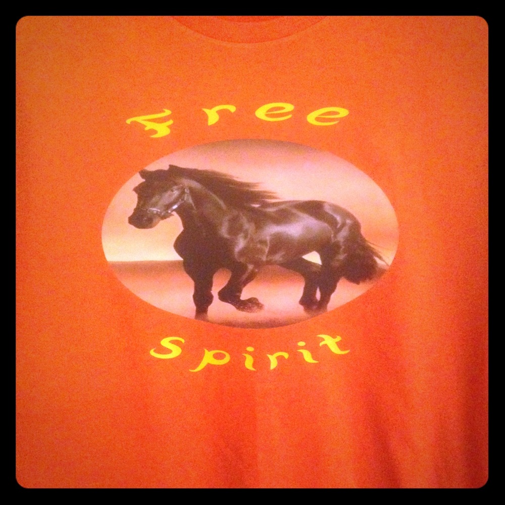 Adult and youth unisex tee's. Free Spirit line.